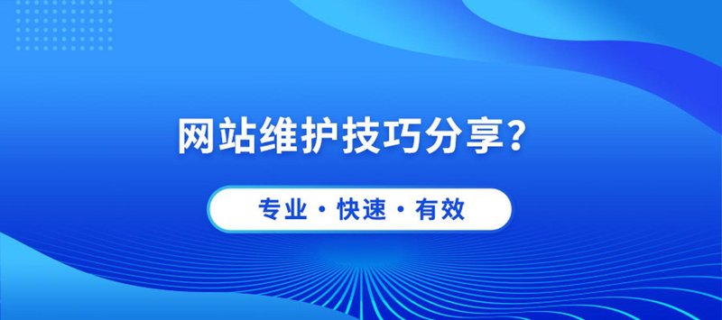 企业官网定制选购指南